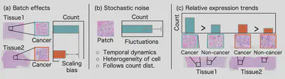 (a) Illustration of scaling bias due to batch effects, (b) stochastic noise, and (c) our hypothesis: learning relative expression trends. Even in the presence of batch effects and stochastic noise, the relative expression trends between patches are preserved.
